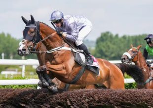 Asta la Pasta a clairefontaine-i győzelme óta is kiváló formában van