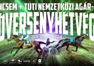 Kincsem+ Tuti International Greyhound and Horse Racing Festival