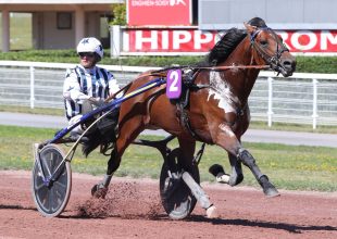 Kincsem+ szakértői tipp: Le Graal a favorit, Fawaz Mil a sötét ló