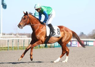 Mighty Boy megbízható és jó formában van