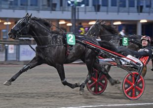 Kincsem+ péntek: Eminent Kronos és Domenik Jet lehet a befutó Vincennes-ben