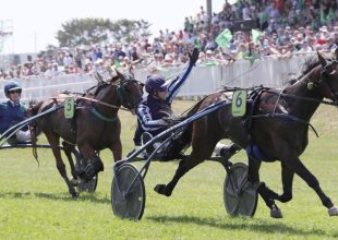 Jazz de Padd (11) két Kincsem+ futamban is harmadik lett szeptemberben