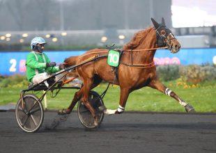 Irish Nice Elge ráduplázhat a legutóbbi győzelmére