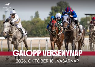 Orosházi Díj vasárnap a galoppon - kezdés 13 órakor!