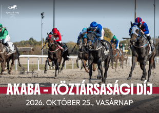Akaba - Köztársasági Díj vasárnap a galoppon – kezdés 12 órakor!
